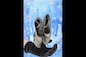 Hatred Through Dance by CelineD