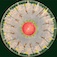 Phenakistoscope Wheel by ChloeW