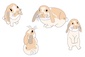 Toasted Marshmallow: A2 Digital Illustration by Paige Kasso