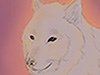 JulieB's Zenith website image link