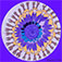 Moon Mia Phenakistoscope by BlankiFM