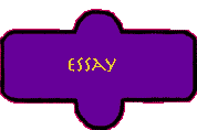 essay
