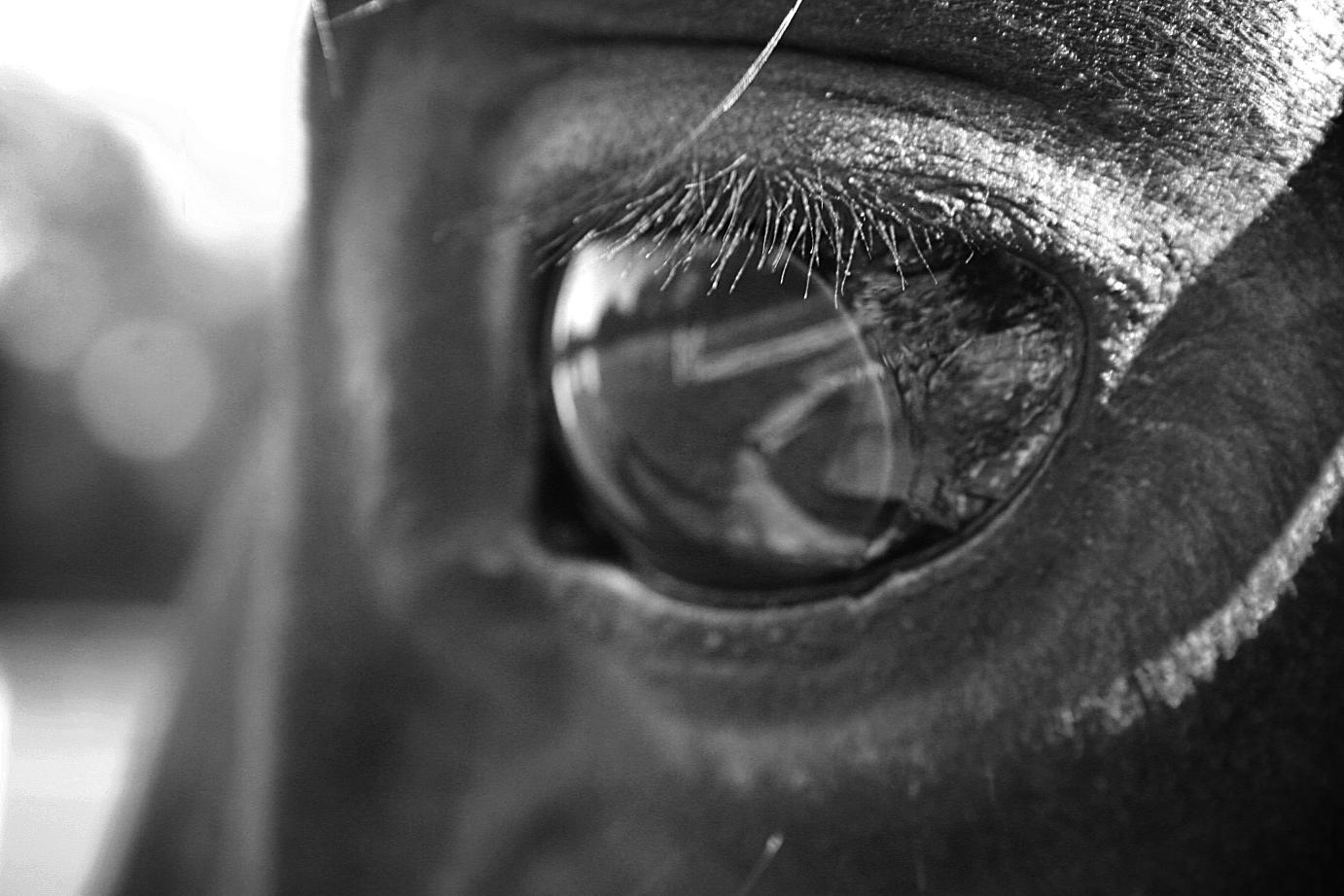 close up on eye