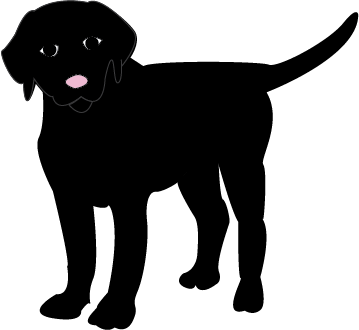 black dog.