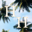 Student website image link