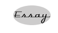 Essay