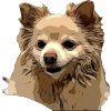 Student website image link
