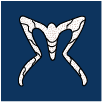 Student website image link