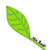 Student website image link