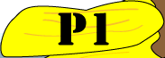 Project 1 Button