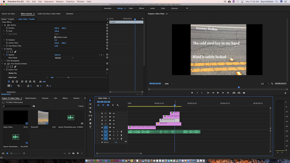 This is a screenshot of my Haiku video production in Premiere Pro.