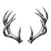 Student website image link